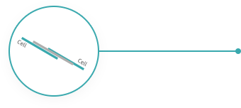 beat·365(中国)唯一官方网站